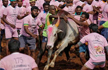 3 killed in bull-taming sports in Tamil Nadu